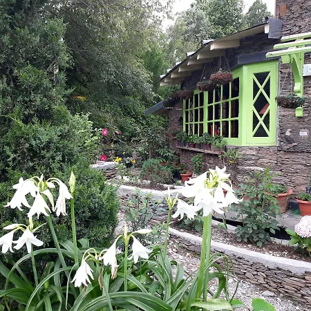 The Oak Trails Eco Lodge-3